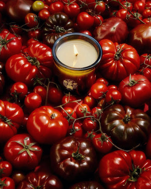 Roma Tomato Candle